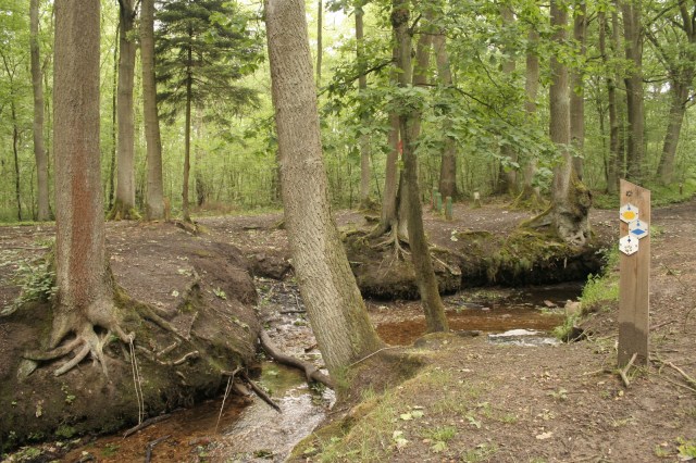 Nationaal park De Hoge Kempen