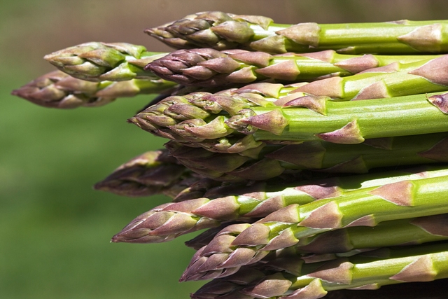 Asparagus. Bron: Flickr, muffet