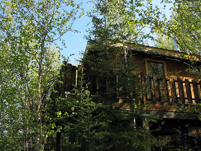 Bron: Flickr, wheeldog