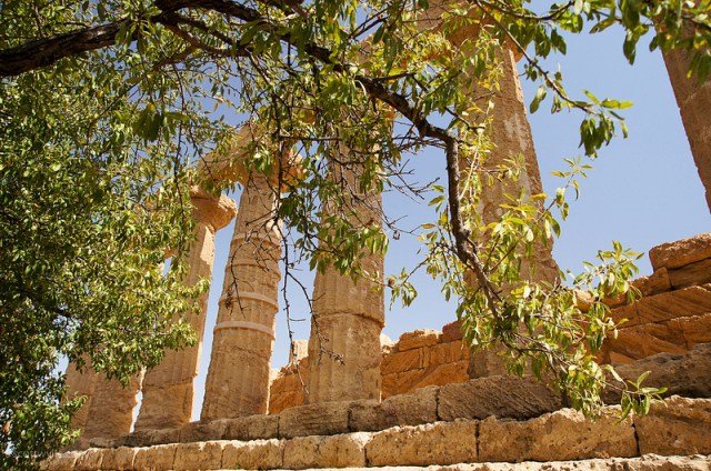 Bron: Flickr, scotbot