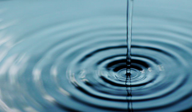 Bron: Flickr, likeablerodent