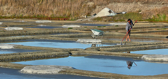 Zoutwinning in de Guérande. Brpn: minikd, Flickr