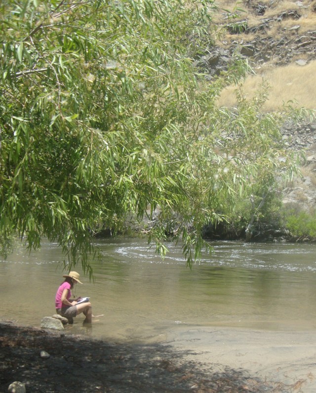 Bron: juliejordanscott, Flickr