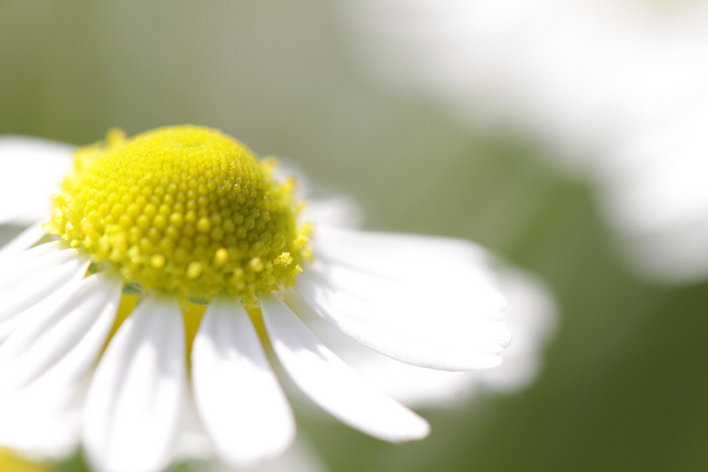 Bron:  takashi(ces256), Flickr