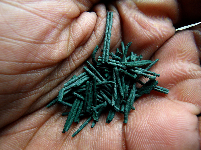 Superfood spirulina. Bron:  willpower studios, Flickr