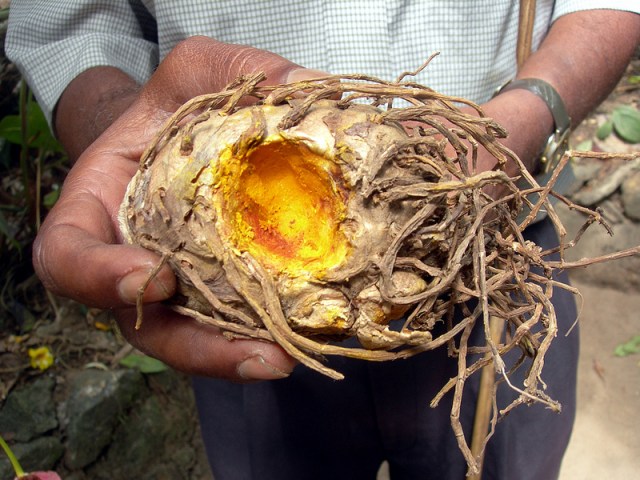 Bron: Steenbergs, Flickr