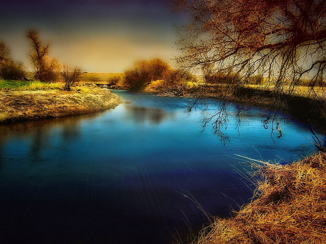 Bron:  mrbillt6, Flickr