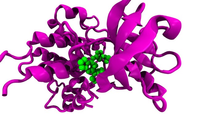 Bron: Enzymlogic, Flickr