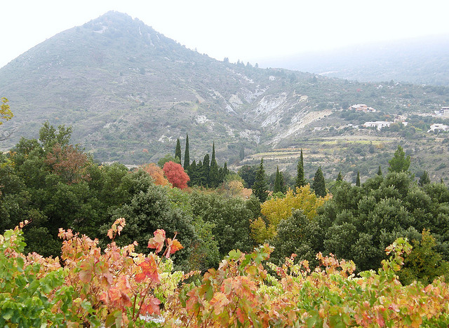 Terroir. Bron: Flickr, Annik