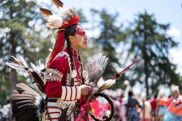 Indiaan lauri shaull