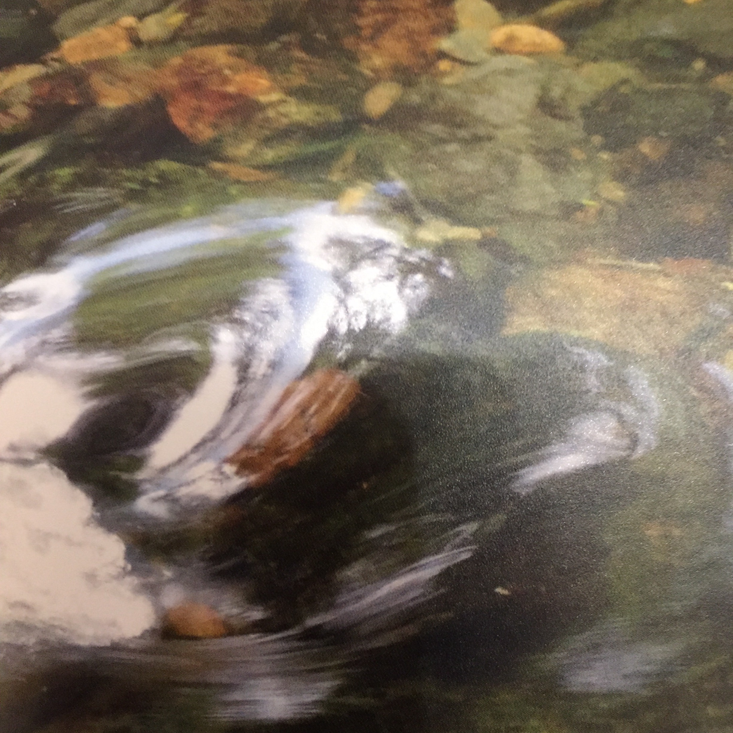 Foto: Frank Flippo, Lydford Gorge